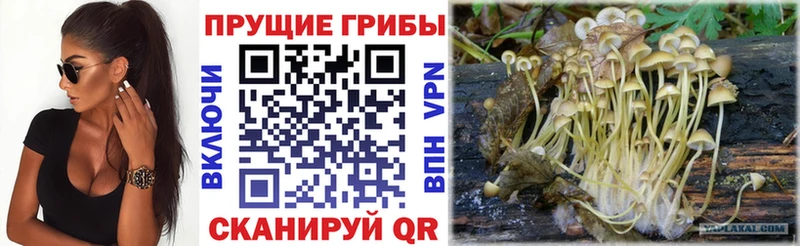 даркнет сайт  Омутнинск  Псилоцибиновые грибы мухоморы 